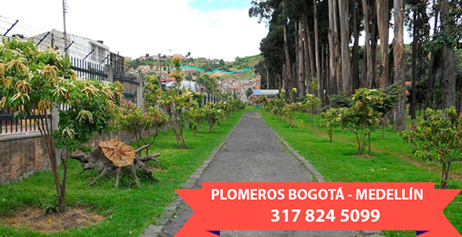 Destapes en Itagüí Antioquia